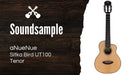  aNueNue Sitka Bird UT100 Soundbeispiel