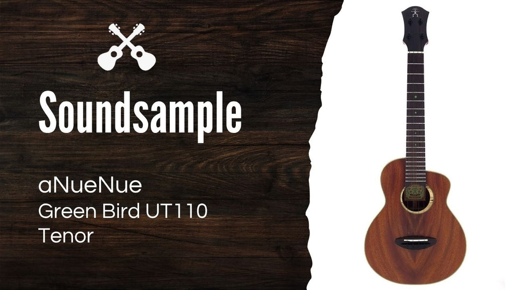aNueNue Green Bird UT110 Soundbeispiel