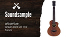 aNueNue Green Bird UT110 Soundbeispiel