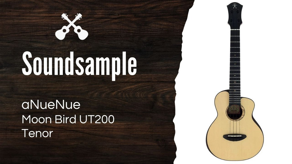 aNueNue Moon Bird UT200 Soundbeispiel