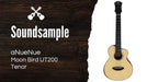 aNueNue Moon Bird UT200 Soundbeispiel